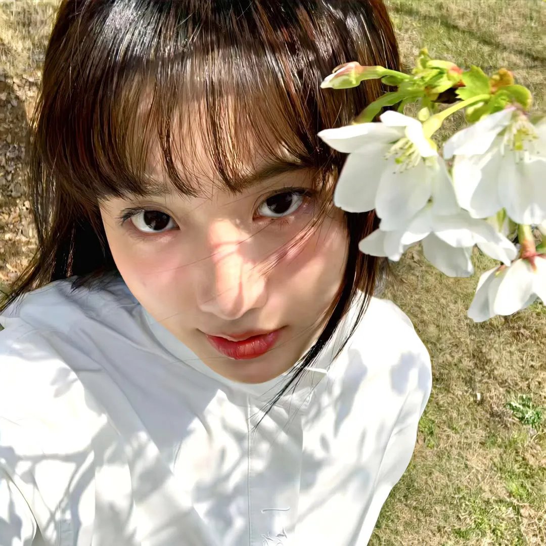 芭比之梦幻仙境